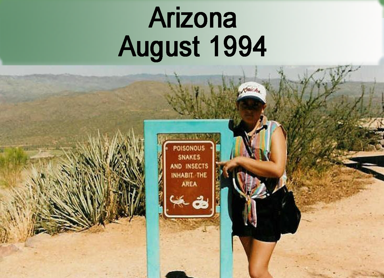 1994 Arizona