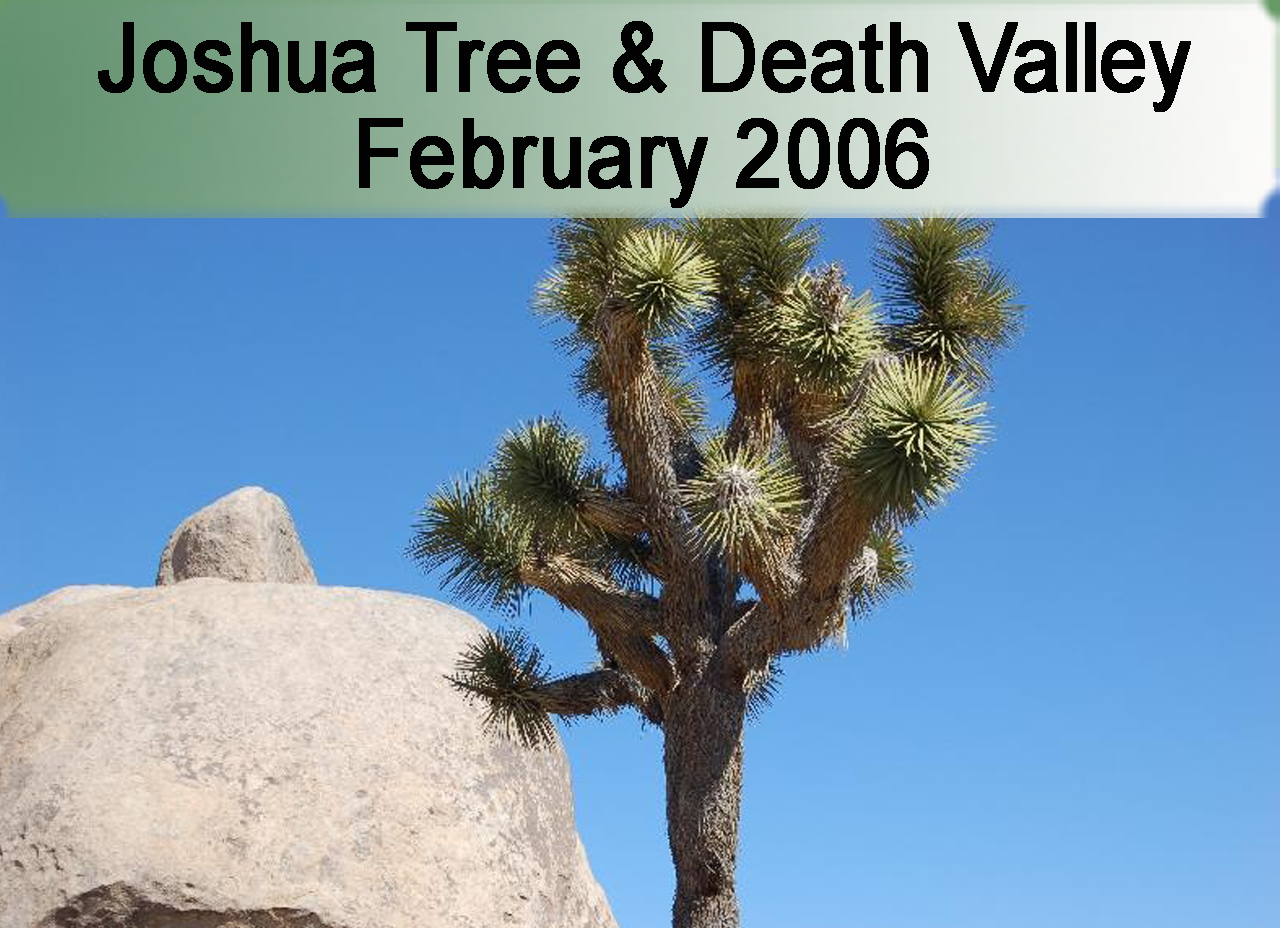 2006 Death Valley & Joshua Tree