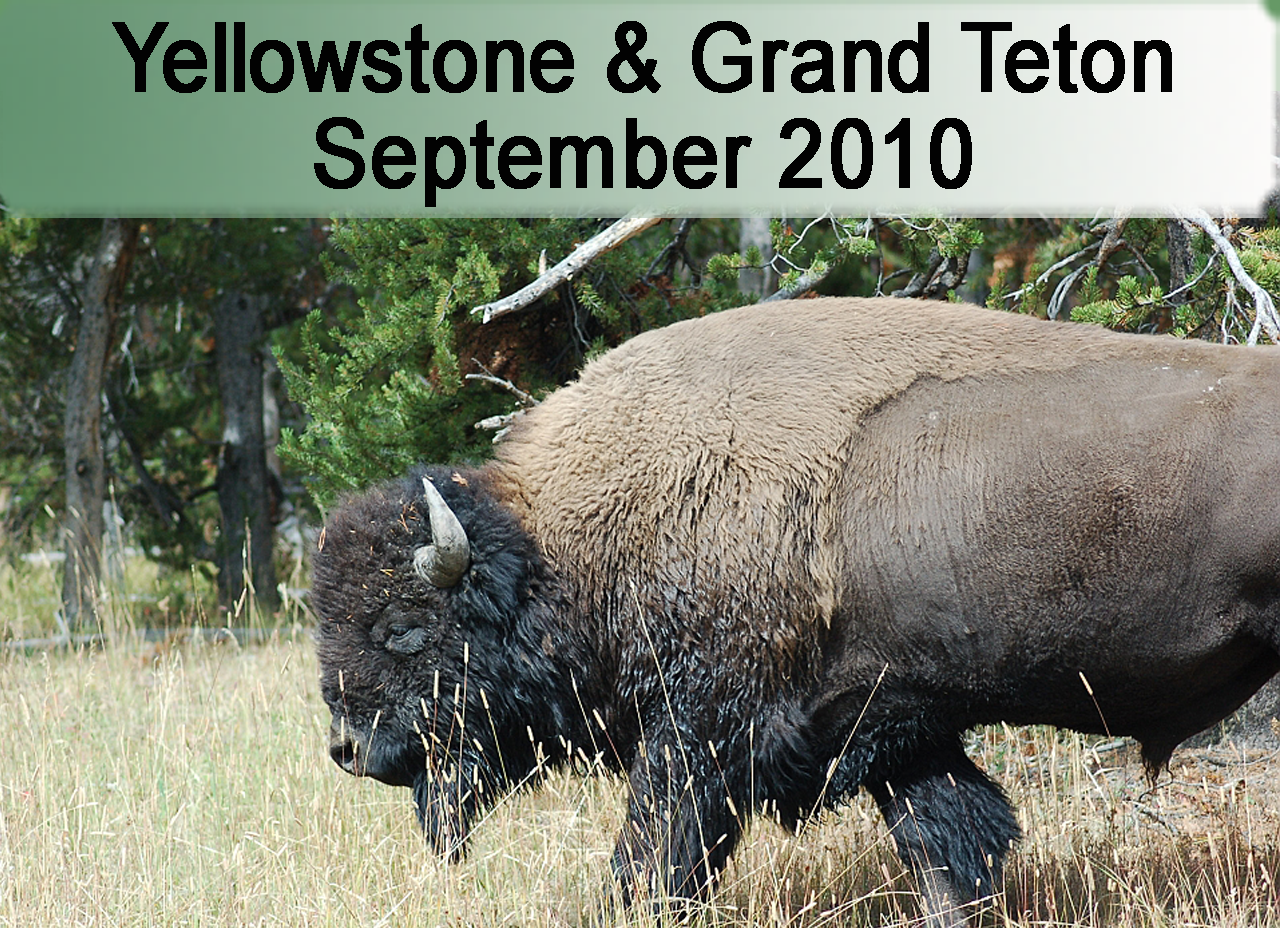 2010 Yellowstone & Grand Teton