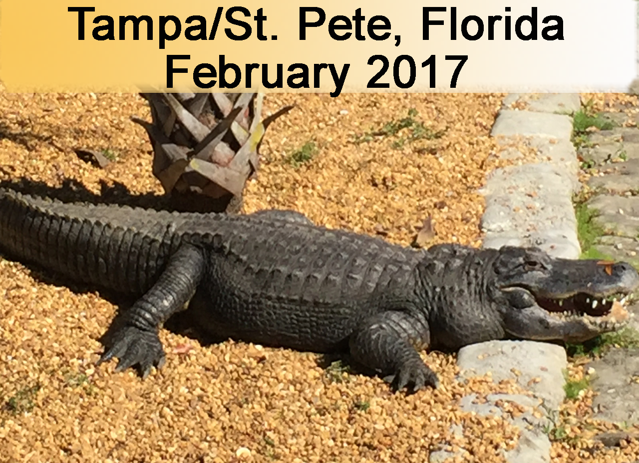 2016 Florida