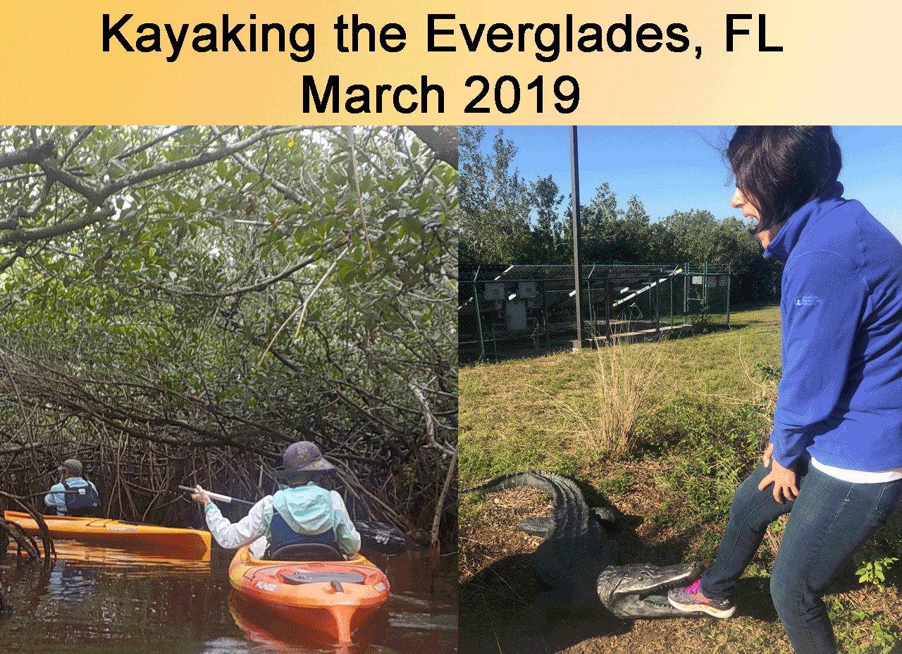 Kayaking the Everglades