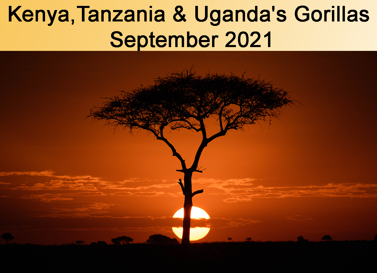 Kenya, Tanzania & Uganda