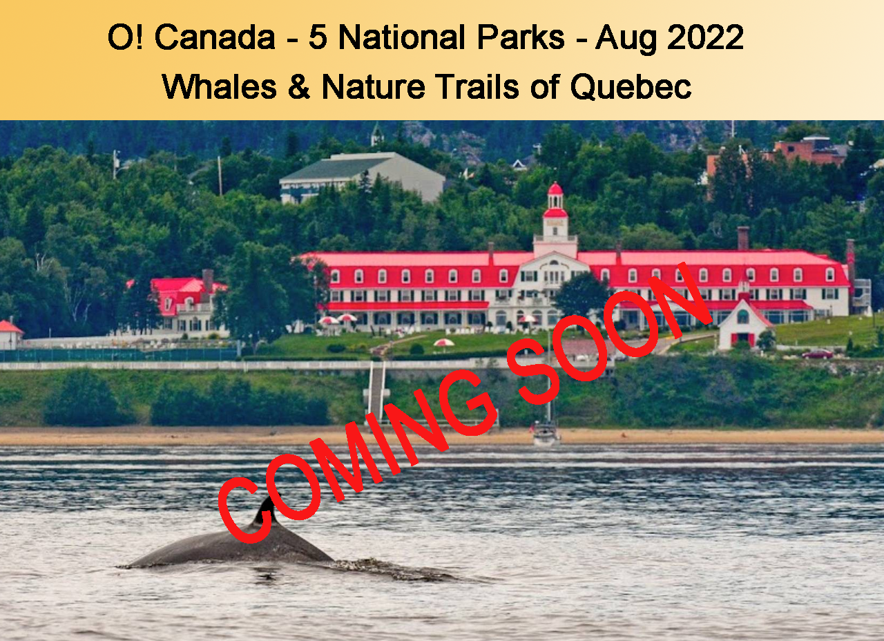 Quebec Whales and Trails