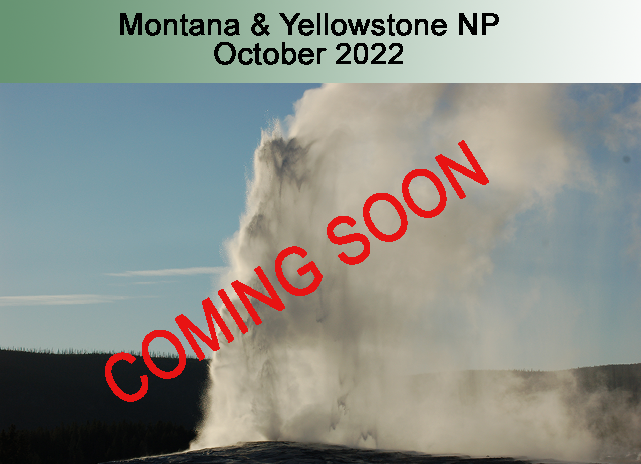 Montana & Yellowstone NP