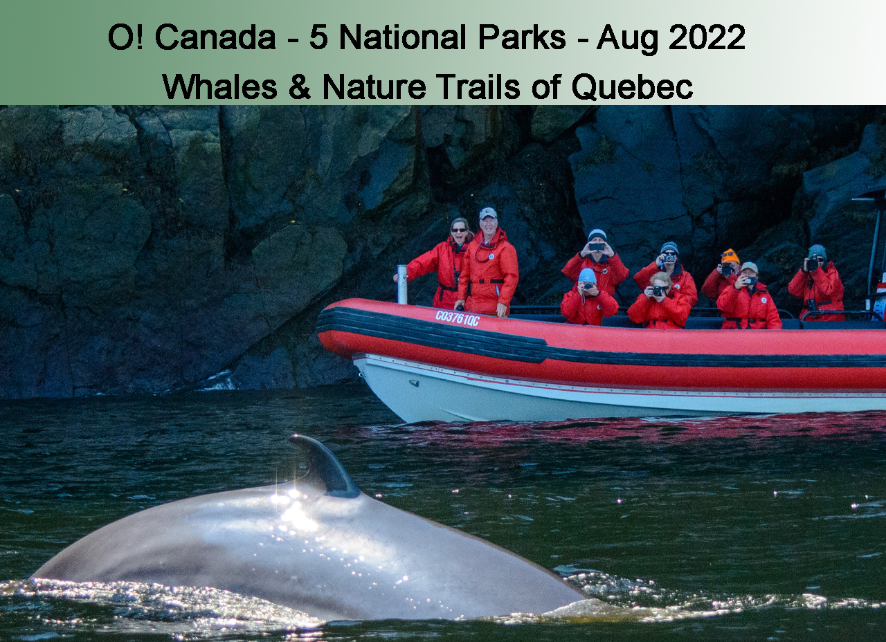 Whales and Trails of Quebec