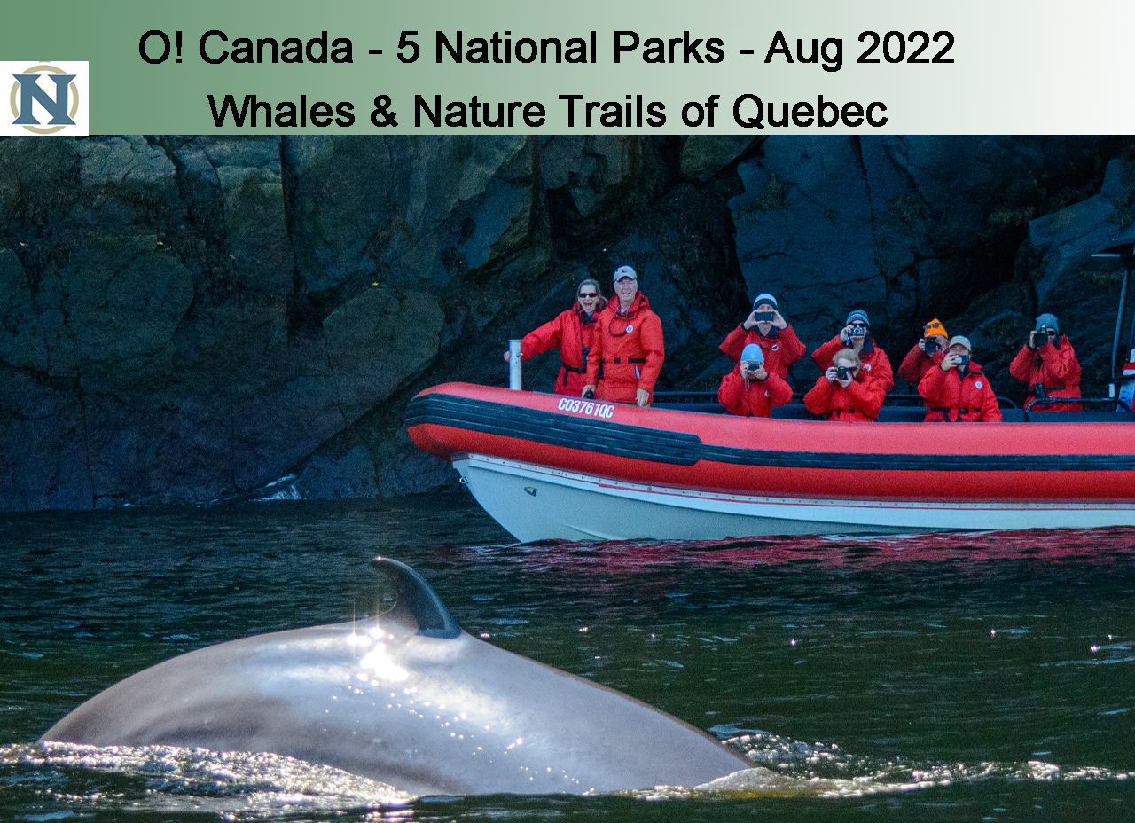 Whales and Trails of Quebec