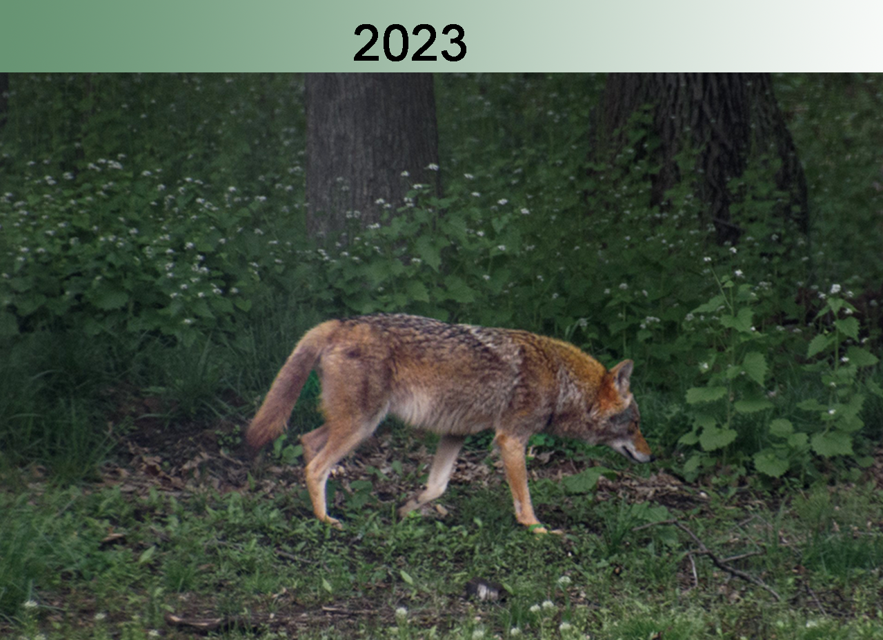 2023