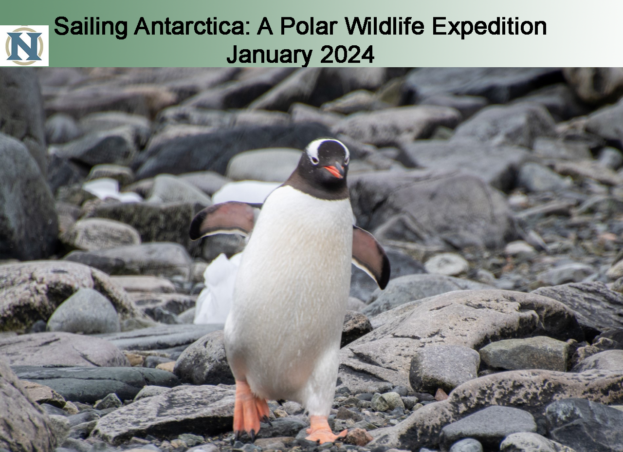 Antarctica