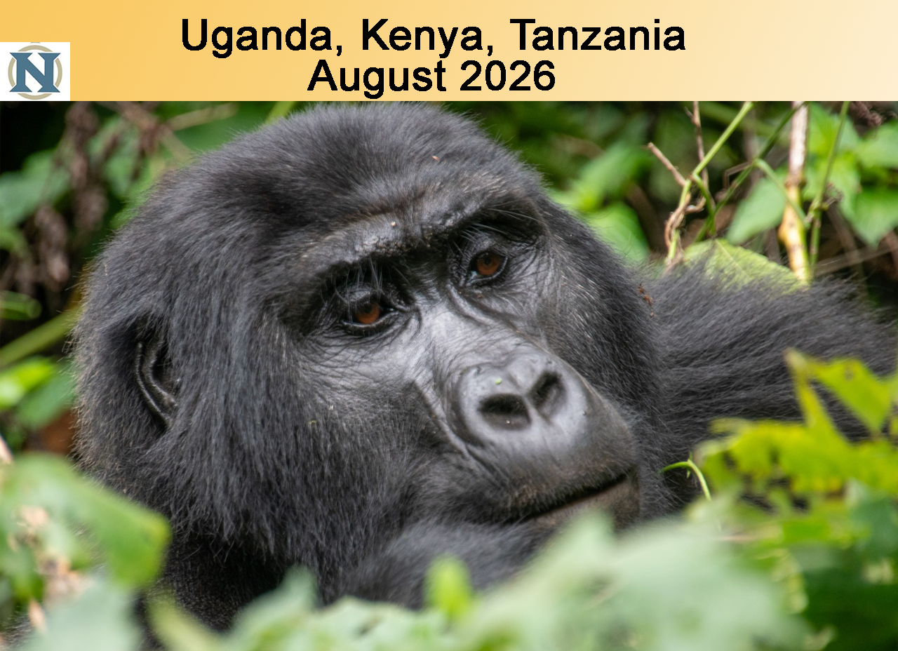 Ultimate East Africa